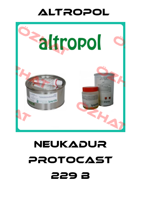 NEUKADUR ProtoCast 229 B Altropol