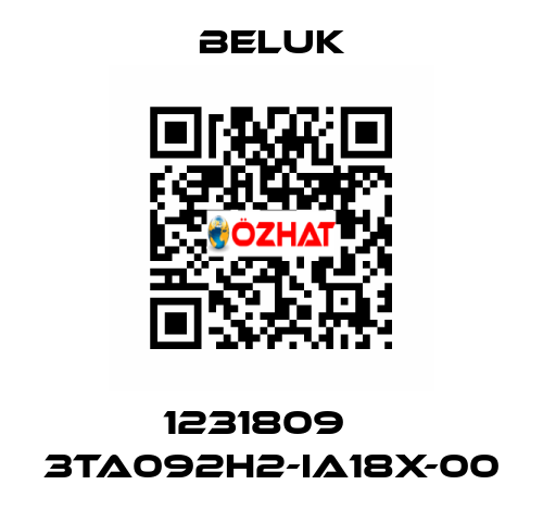 1231809    3TA092H2-IA18X-00 Beluk