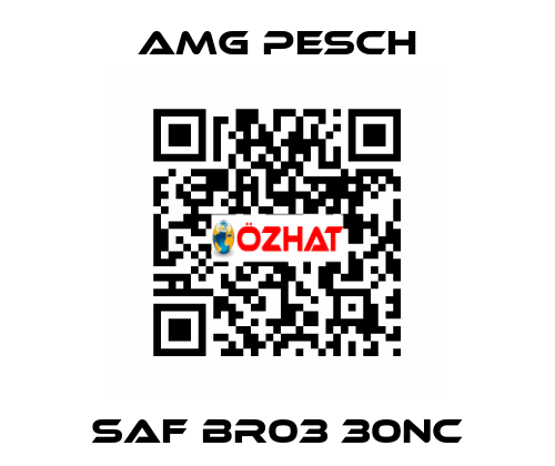 SAF BR03 30NC AMG Pesch