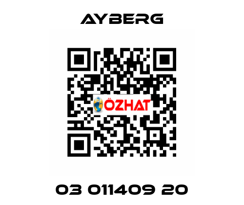 03 011409 20 ayberg