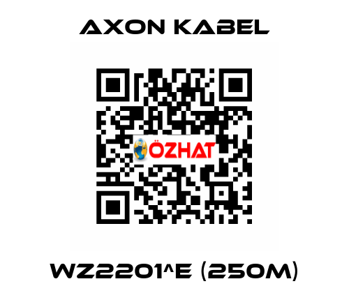 WZ2201^E (250M) AXON KABEL