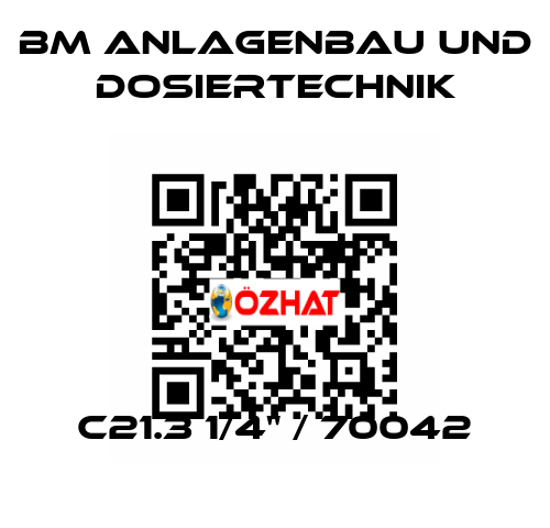 C21.3 1/4" / 70042 BM Anlagenbau und Dosiertechnik