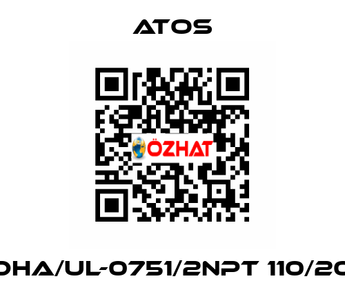 DHA/UL-0751/2NPT 110/20 Atos