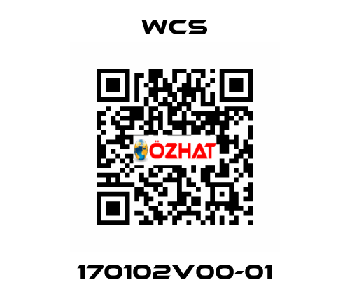 170102V00-01 WCS