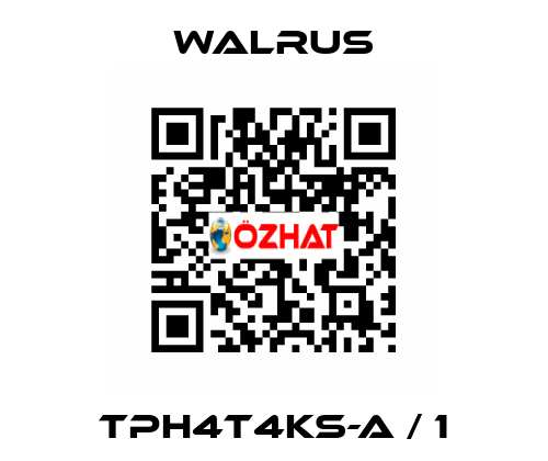 TPH4T4KS-A / 1 Walrus