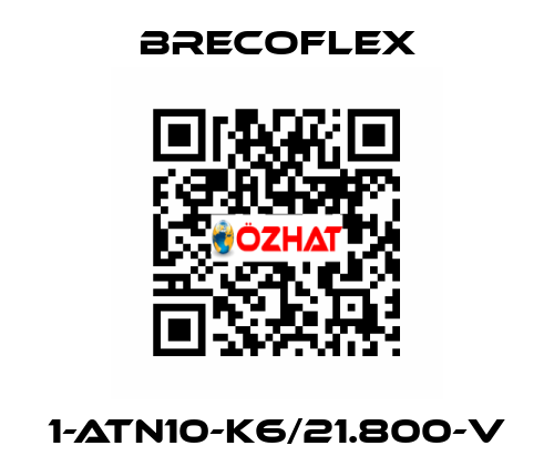 1-ATN10-K6/21.800-V Brecoflex