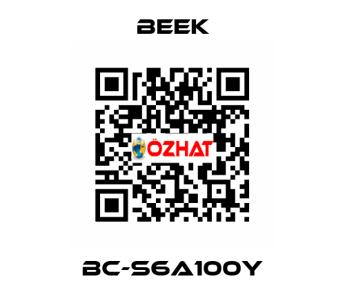 BC-S6A100Y Beek