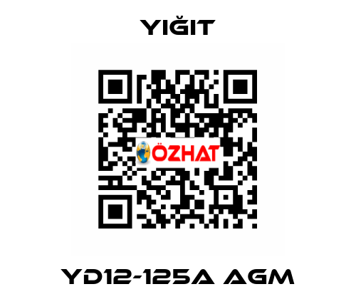 YD12-125A AGM Yiğit