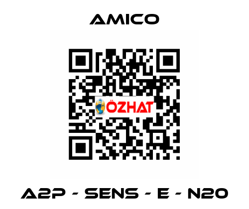 A2P - SENS - E - N20 AMICO