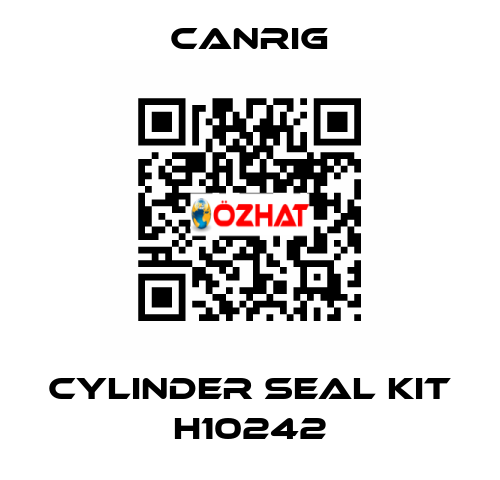 CYLINDER SEAL KIT H10242 Canrig