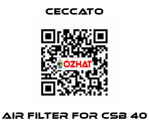 Air Filter for CSB 40 Ceccato