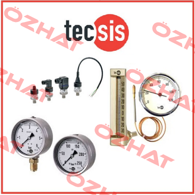 P3297S073024 Tecsis (WIKA Group)