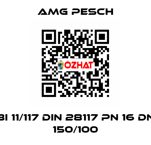 BI 11/117 DIN 28117 PN 16 DN 150/100 AMG Pesch