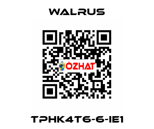 TPHK4T6-6-IE1 Walrus