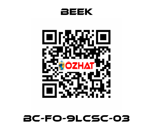 BC-FO-9LCSC-03 Beek