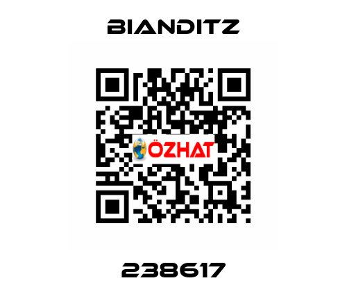 238617 Bianditz
