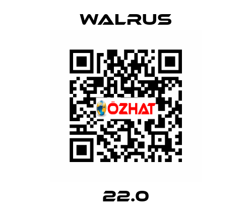 22.0 Walrus