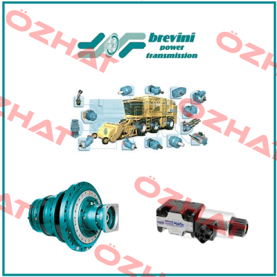 ARS 315 DS1 SD Brevini