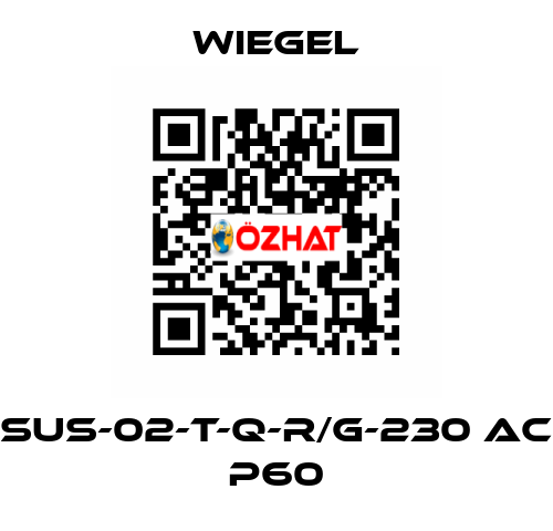 SUS-02-T-Q-R/G-230 AC P60 wiegel