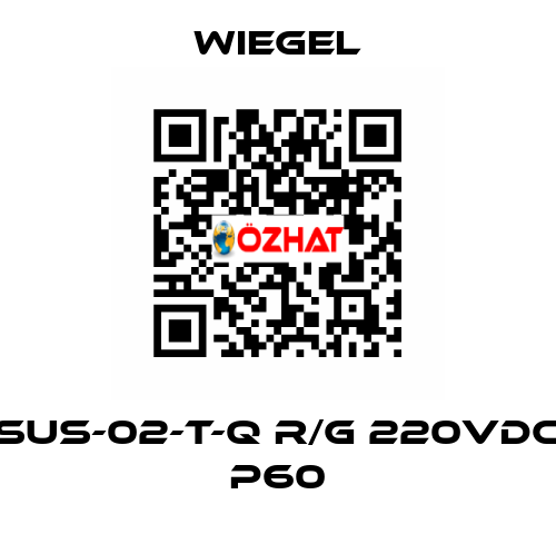 SUS-02-T-Q R/G 220VDC P60 wiegel