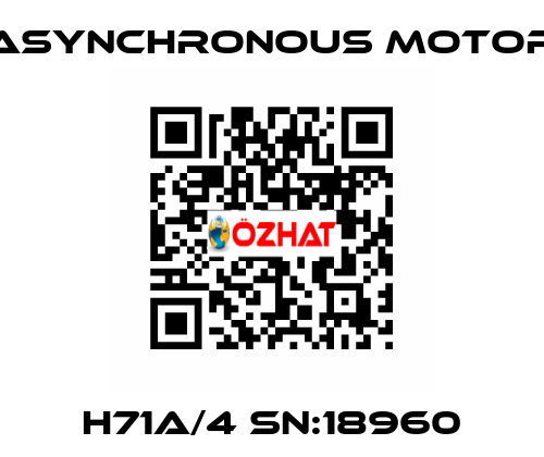 H71A/4 SN:18960 ASYNCHRONOUS MOTOR