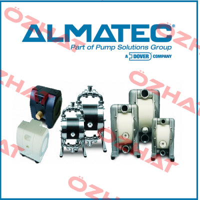 B20BN-T-W1 Almatec