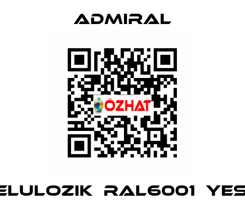 SELULOZIK	RAL6001	YESIL admiral
