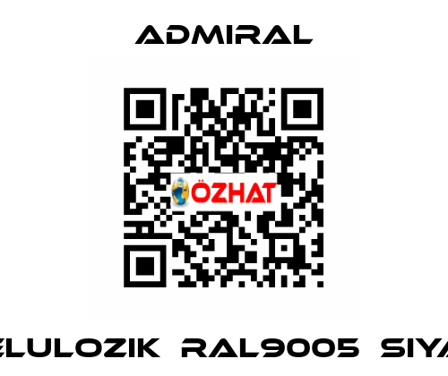 SELULOZIK	RAL9005	SIYAH admiral