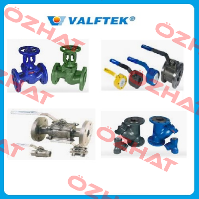 DN100 TG Sealing Ring  Valftek