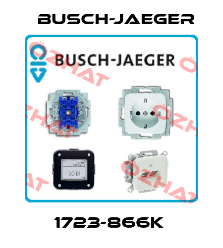1723-866K  Busch-Jaeger