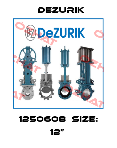 1250608  Size: 12”  DeZurik