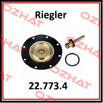 22.773.4 / 100915 Riegler