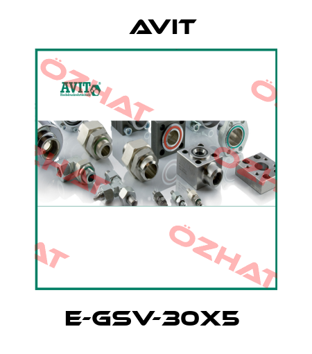 E-GSV-30x5  Avit