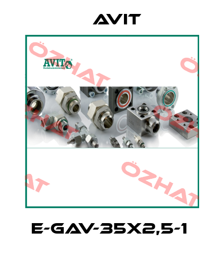E-GAV-35x2,5-1  Avit