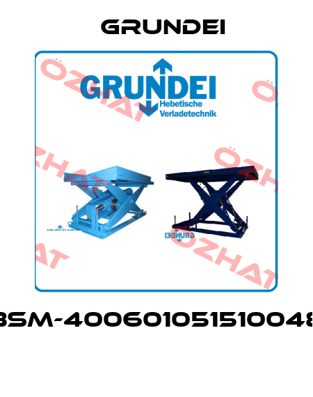 BSM-400601051510048  Grundei