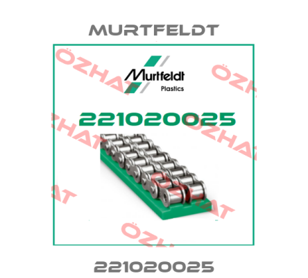 221020025 Murtfeldt