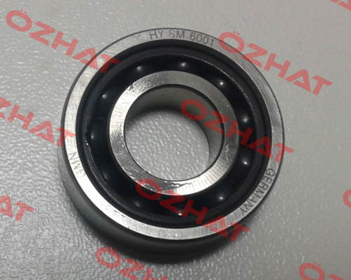 19HYSM6001CTAUP+DUL Gmn