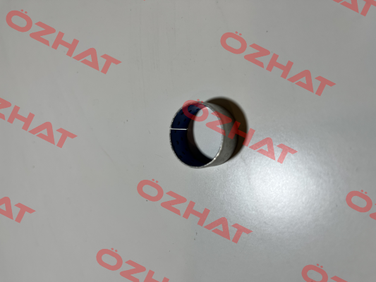 PG 202310 A Federal Mogul