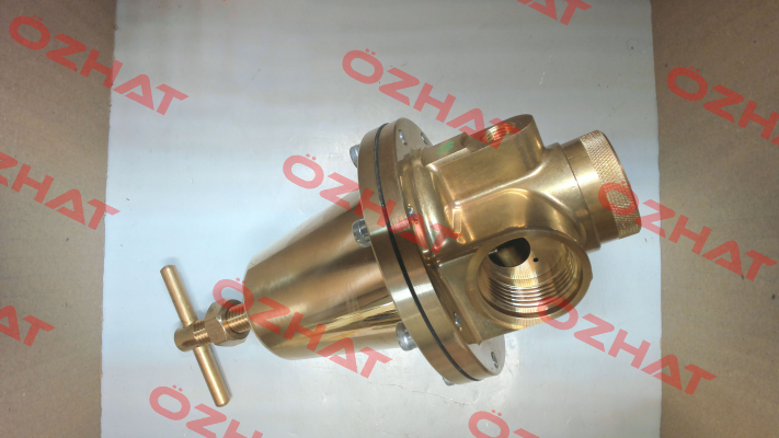 P/N: 100887 Type: 737.603 Riegler