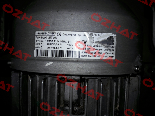 169931  Esam