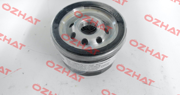 492932 Briggs-Stratton