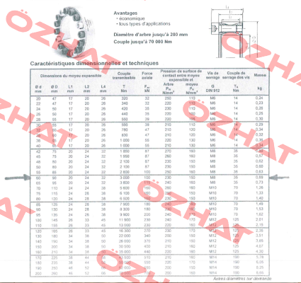 4201-060001-000000  Ringspann
