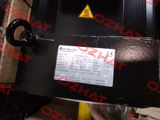 VT100A4I00007 Brusatori