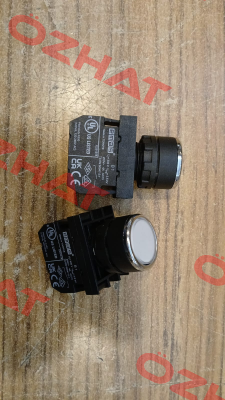 B100DB-OD Emas
