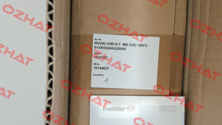 01XM1030XG25WH Meister