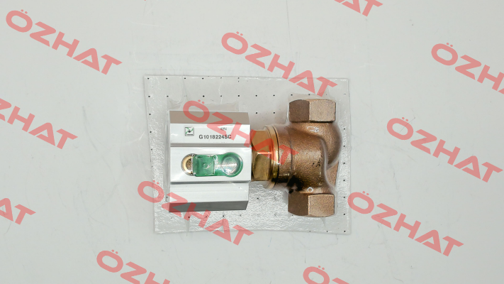 G1018224SC Pneumax