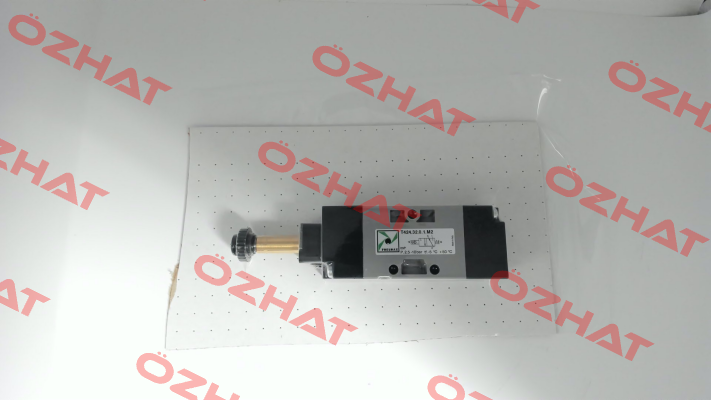 T424.32.0.1.M2 Pneumax
