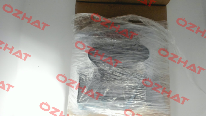 WE255-4R100Z24/0H Voith