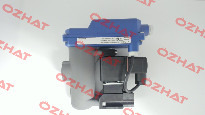 2000020 / BM 12 CO PN63, 230VAC Beko
