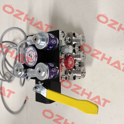 102322 / 0.75" EV 10 Blain Hydraulics